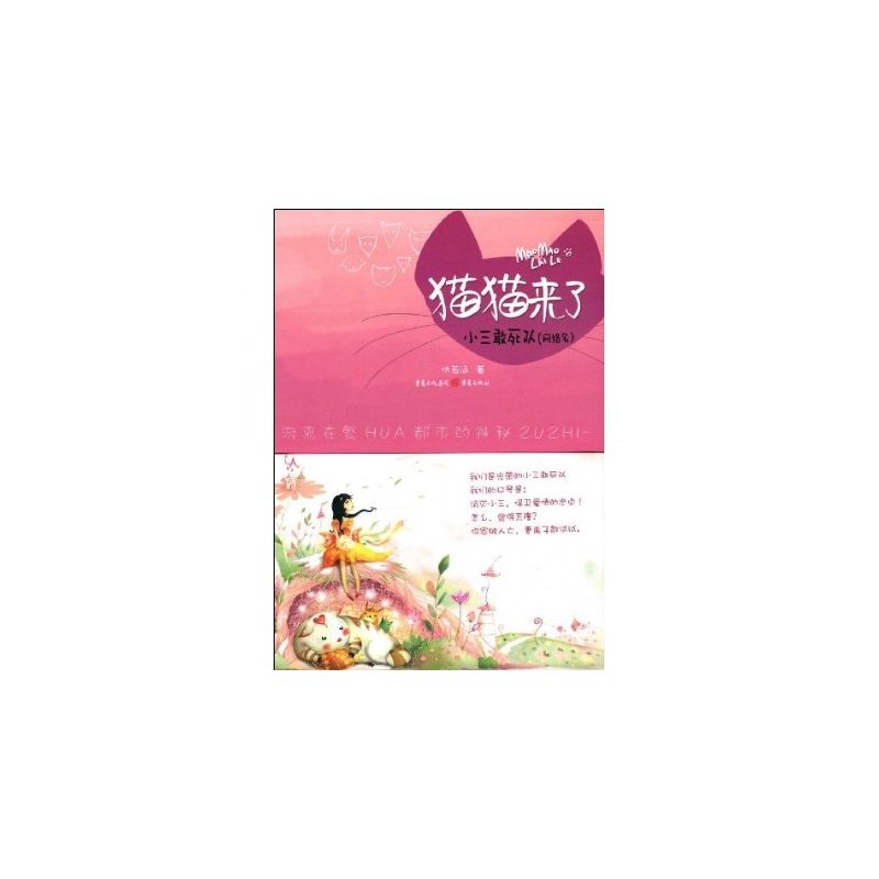 小三敢死队的介绍