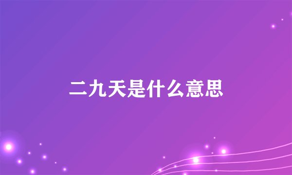 二九天是什么意思