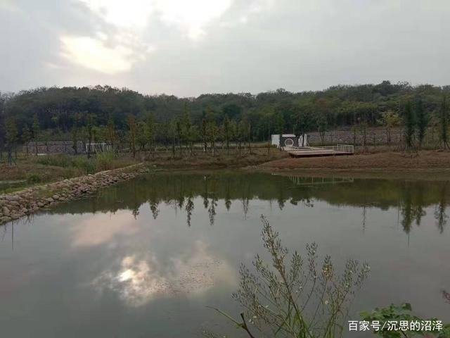 扑克一到十三代表什么算命