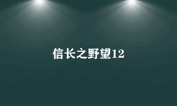 信长之野望12
