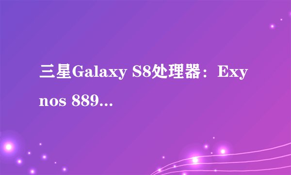 三星Galaxy S8处理器：Exynos 8895与骁龙 835