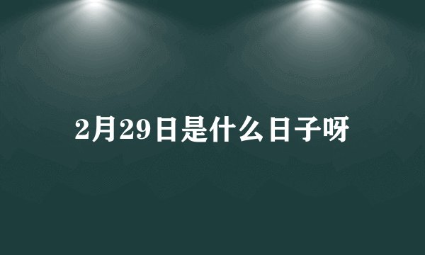 2月29日是什么日子呀