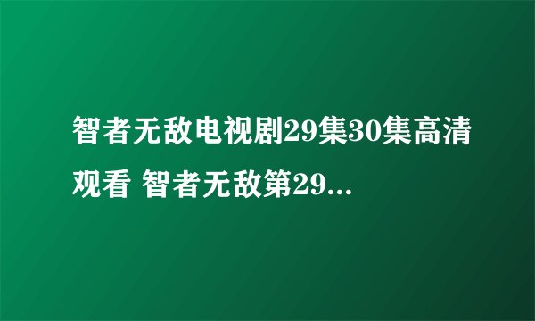 智者无敌电视剧29集30集高清观看 智者无敌第29集30集全集下载