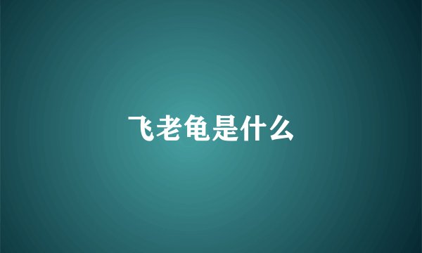 飞老龟是什么