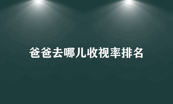 爸爸去哪儿收视率排名