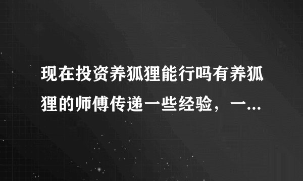 现在投资养狐狸能行吗有养狐狸的师傅传递一些经验，一只狐狸从出生到出售需要多少钱现在的市场大楖能卖多