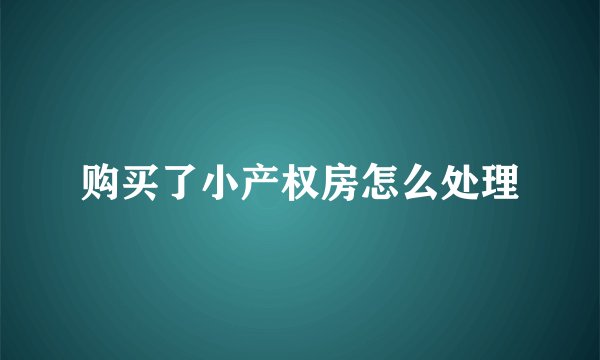购买了小产权房怎么处理