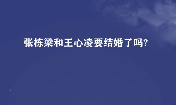 张栋梁和王心凌要结婚了吗?
