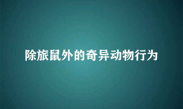 除旅鼠外的奇异动物行为