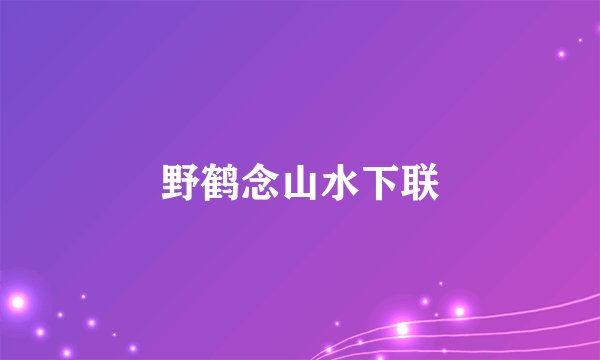 野鹤念山水下联