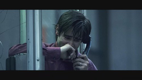 悠悠鸟的影视论坛