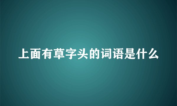 上面有草字头的词语是什么