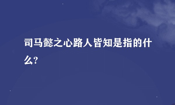 司马懿之心路人皆知是指的什么?