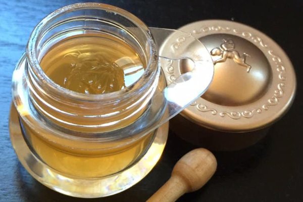 honeypot是什么意思