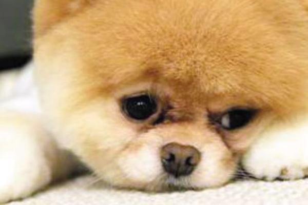 emotionaldamage怎么读