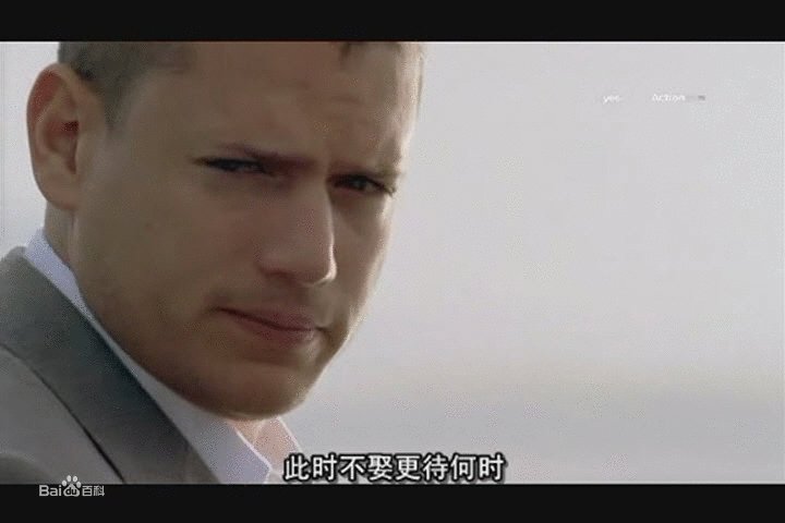 越狱之最后一越的剧情简介