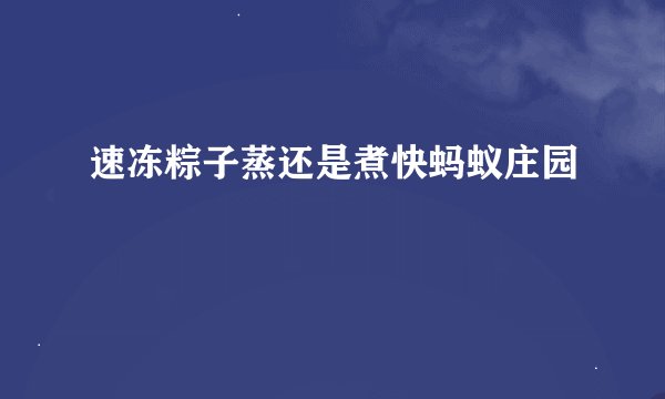 速冻粽子蒸还是煮快蚂蚁庄园
