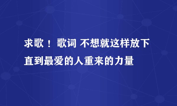 求歌 ！歌词 不想就这样放下 直到最爱的人重来的力量
