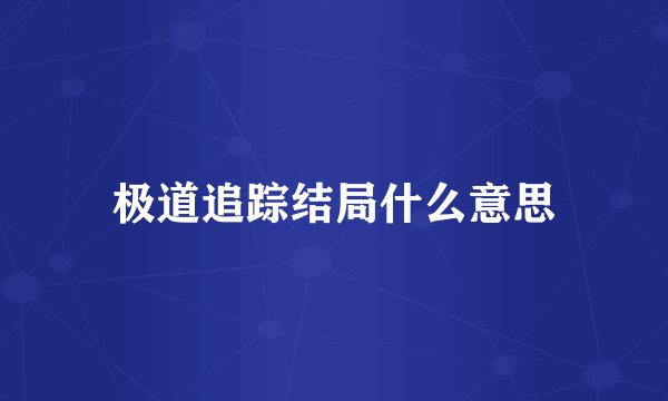 极道追踪结局什么意思