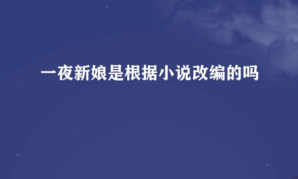 一夜新娘是根据小说改编的吗
