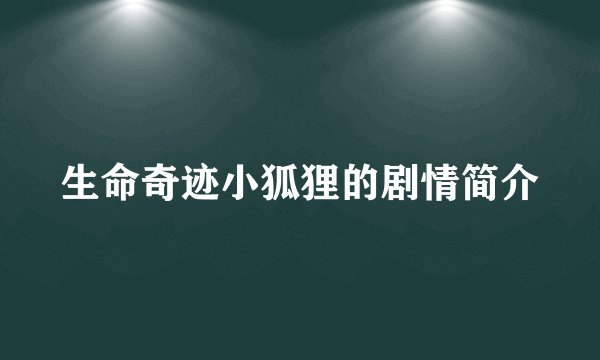生命奇迹小狐狸的剧情简介