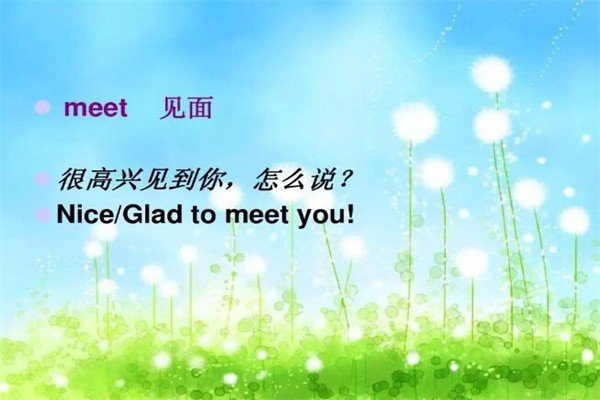 meet 是什么意思