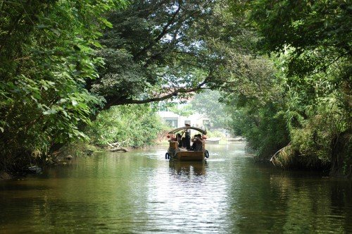 人与自然：水乡篇的内容简介