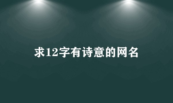 求12字有诗意的网名