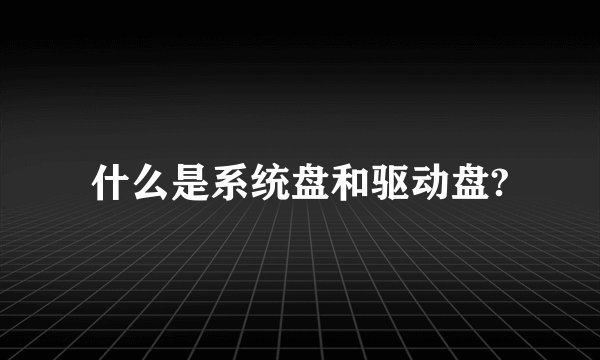 什么是系统盘和驱动盘?