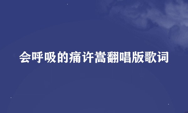 会呼吸的痛许嵩翻唱版歌词