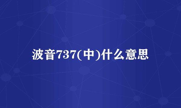 波音737(中)什么意思