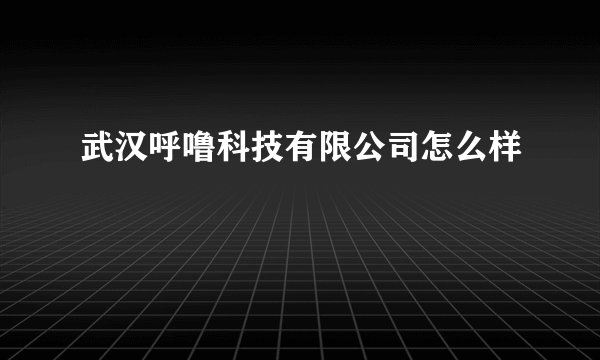 武汉呼噜科技有限公司怎么样