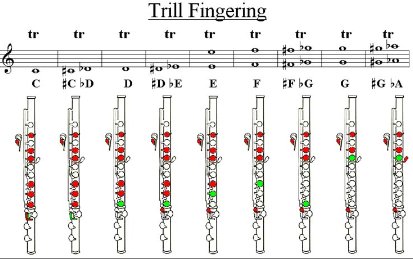 巴乌指法入门教程