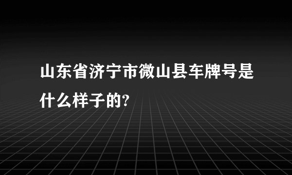 山东省济宁市微山县车牌号是什么样子的?
