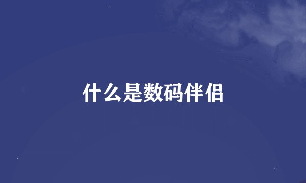 什么是数码伴侣