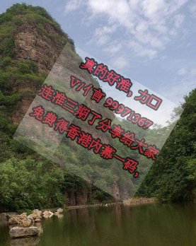 资生堂权威主论坛