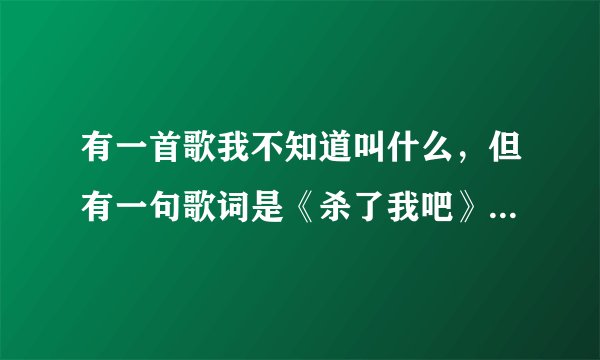 有一首歌我不知道叫什么，但有一句歌词是《杀了我吧》，这是什么歌？