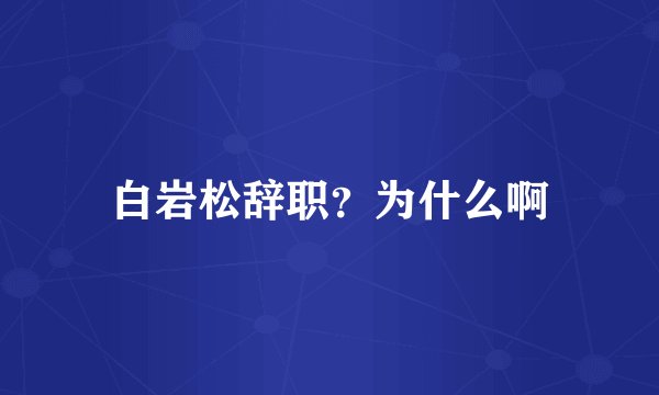 白岩松辞职？为什么啊