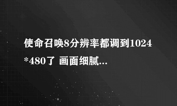 使命召唤8分辨率都调到1024*480了 画面细腻度还不如6的800*600