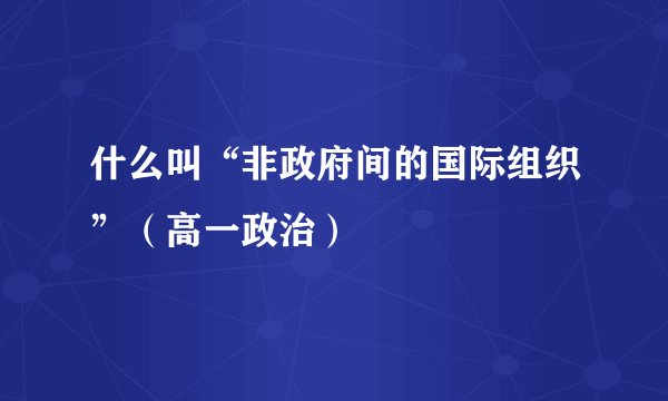 什么叫“非政府间的国际组织”（高一政治）