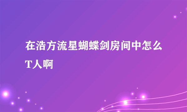 在浩方流星蝴蝶剑房间中怎么T人啊