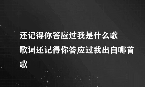 还记得你答应过我是什么歌 歌词还记得你答应过我出自哪首歌