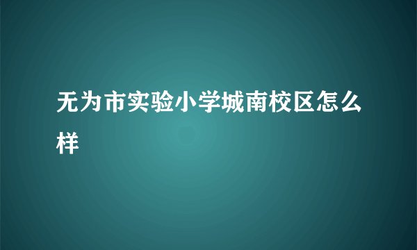 无为市实验小学城南校区怎么样