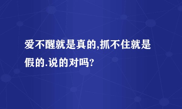 爱不醒就是真的,抓不住就是假的.说的对吗?