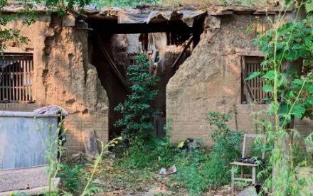 河南周口一女学生被安排在废弃20年小院隔离，你敢独自在废弃小院生活吗？