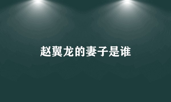 赵翼龙的妻子是谁
