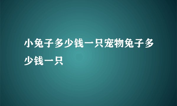 小兔子多少钱一只宠物兔子多少钱一只