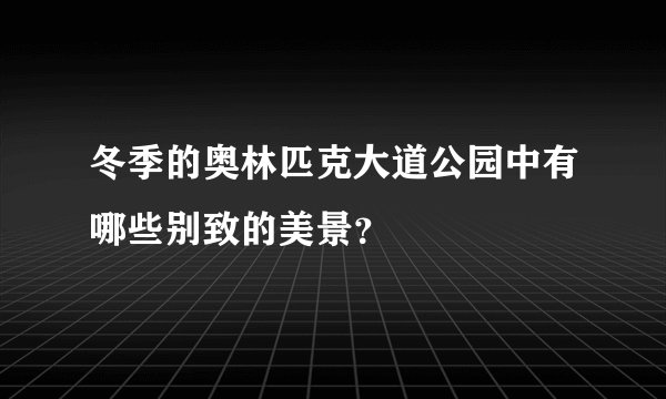 冬季的奥林匹克大道公园中有哪些别致的美景？