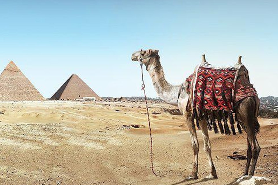 驼色是什么颜色 驼色配淡蓝色好看吗