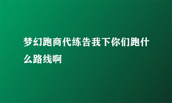 梦幻跑商代练告我下你们跑什么路线啊
